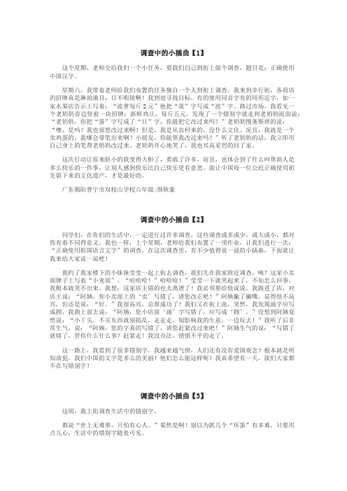 调查中的小插曲作文