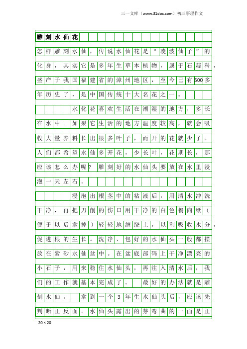 初三事理作文：雕刻水仙花