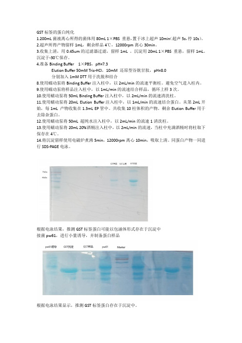 GST标签的蛋白纯化