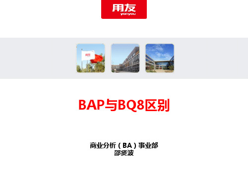 BAP与BQ8区别