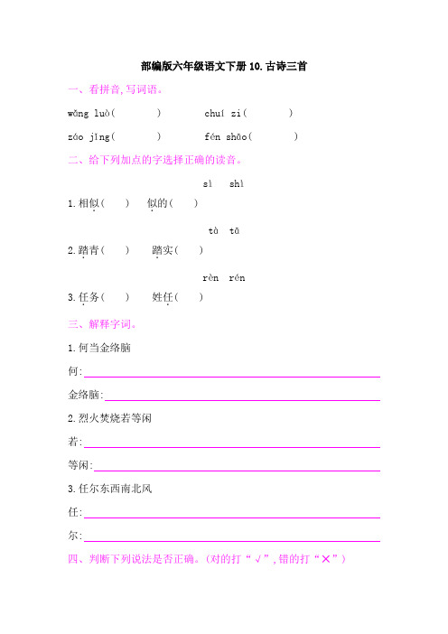 部编版六年级语文下册《10古诗三首  》课后同步作业 附答案