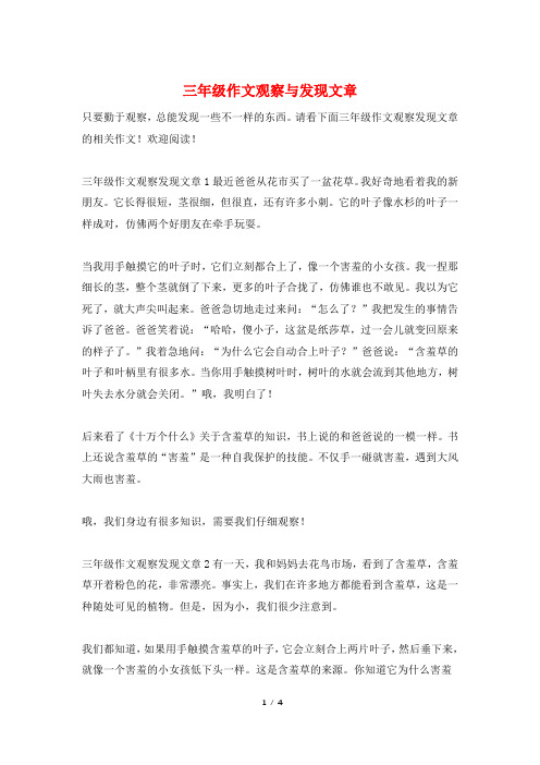 三年级作文观察与发现文章