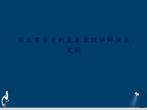 第三章学习的基本原理详解演示文稿