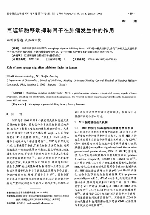 巨噬细胞移动抑制因子在肿瘤发生中的作用