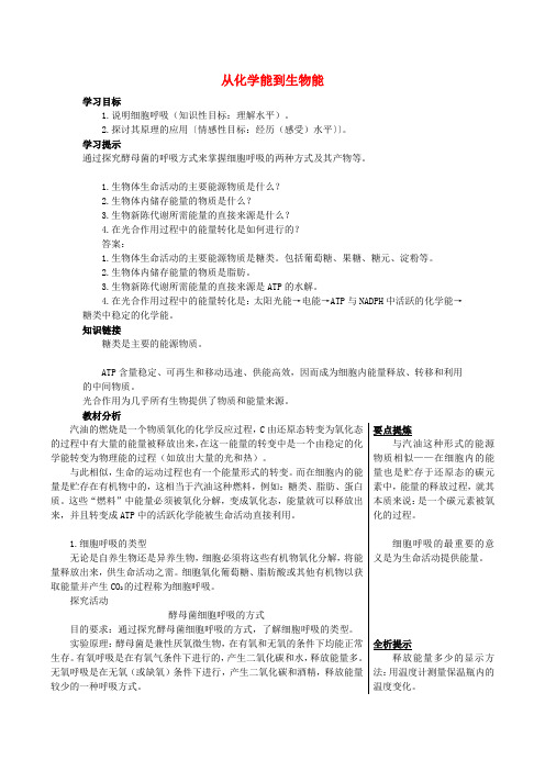 高中生物《从化学能到生物能》学案9 中图版必修1