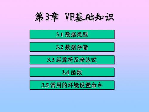 第3章 vf基础