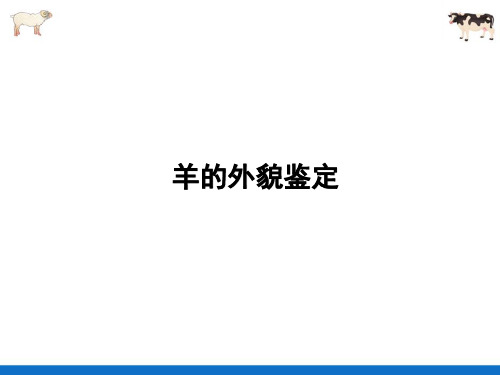 羊的饲养管理—羊的外貌鉴定