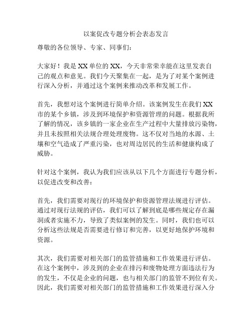 以案促改专题分析会表态发言