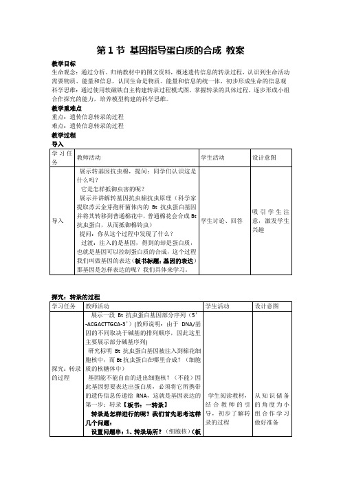 4.1基因指导蛋白质合成 教案 2024—2025学年高一下学期生物人教版必修2