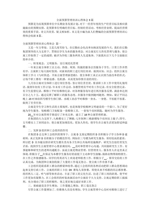 全面预算管理培训心得体会3篇