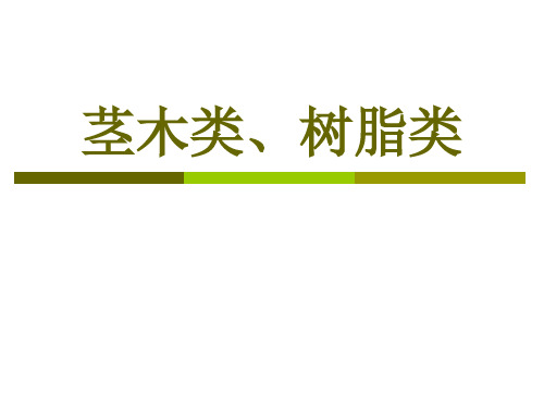 茎木类、树脂类