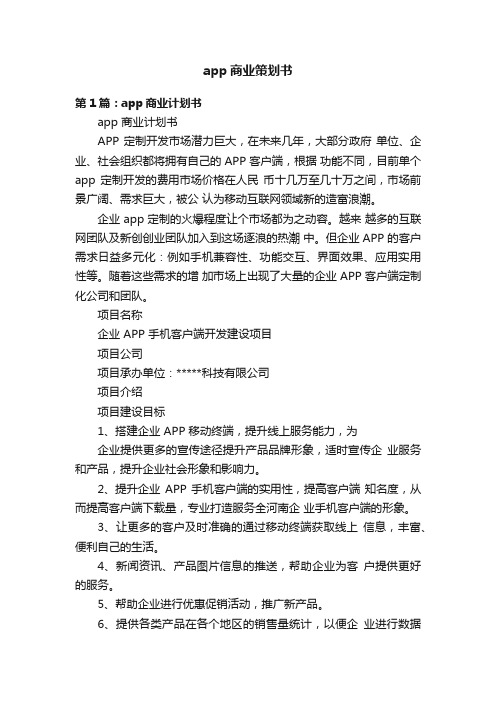 app商业策划书