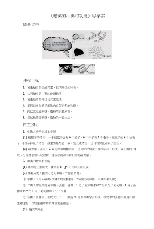 《糖类的种类和功能》导学案5.docx