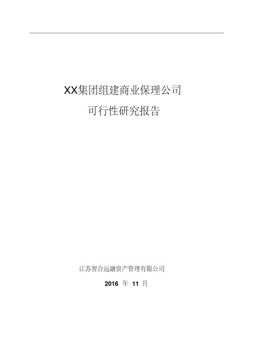 XX集团组建商业保理公司可行性研究报告