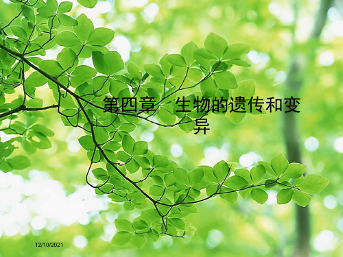 中考生物 八上 第四单元 第四章生物课件