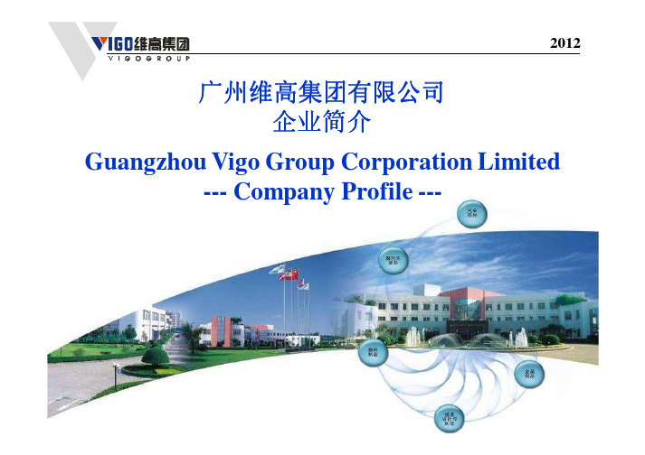 Vigo Company Profile 2012