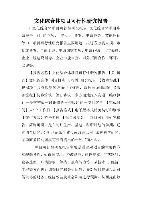 文化综合体项目可行性研究报告.doc