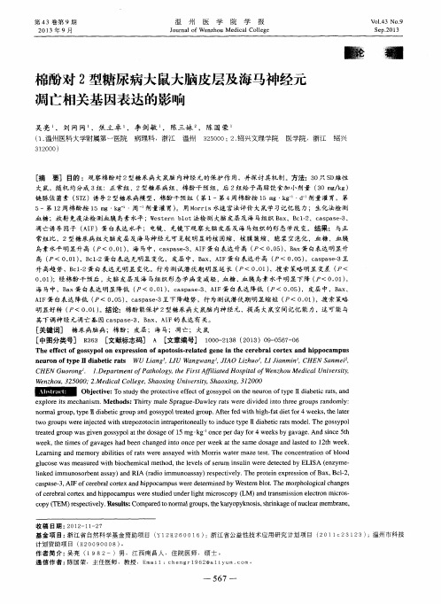 棉酚对2型糖尿病大鼠大脑皮层及海马神经元凋亡相关基因表达的影响