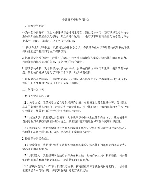 中建导师带徒学习计划