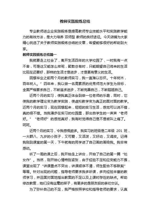 教师实践锻炼总结