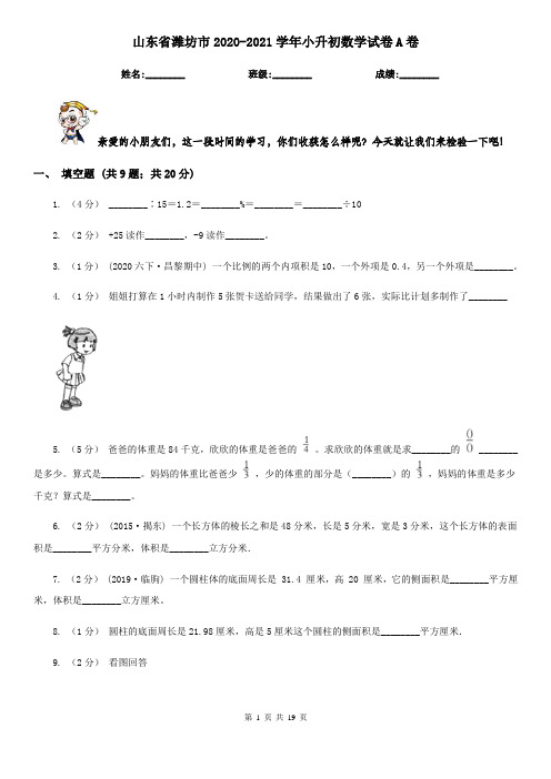 山东省潍坊市2020-2021学年小升初数学试卷A卷