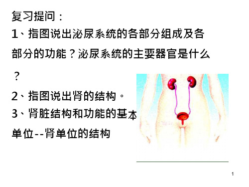 苏教版七下生物112人体废物的排出ppt课件