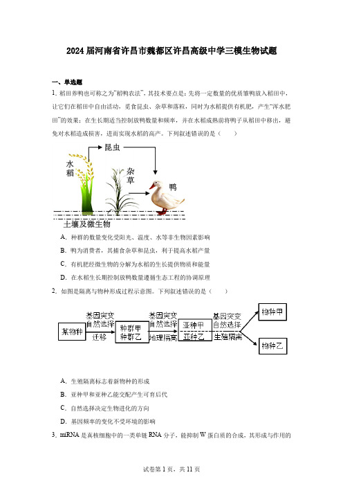 2024届河南省许昌市魏都区许昌高级中学三模生物试题