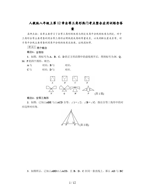 人教版八年级上第12章全等三角形热门考点整合应用训练含答案