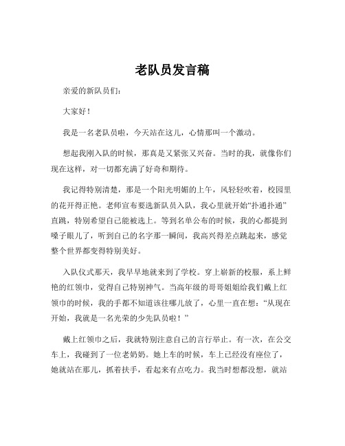 老队员发言稿