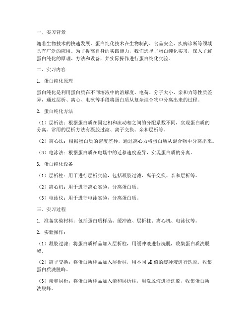 蛋白纯化实习报告