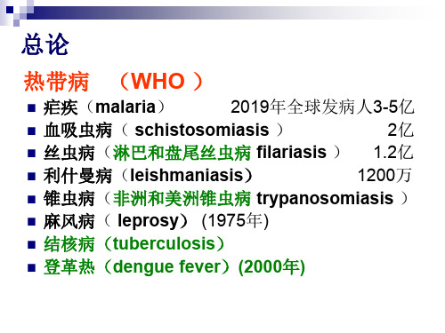 人体寄生虫学整理 ppt课件