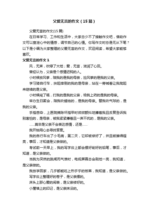 父爱无言的作文（15篇）