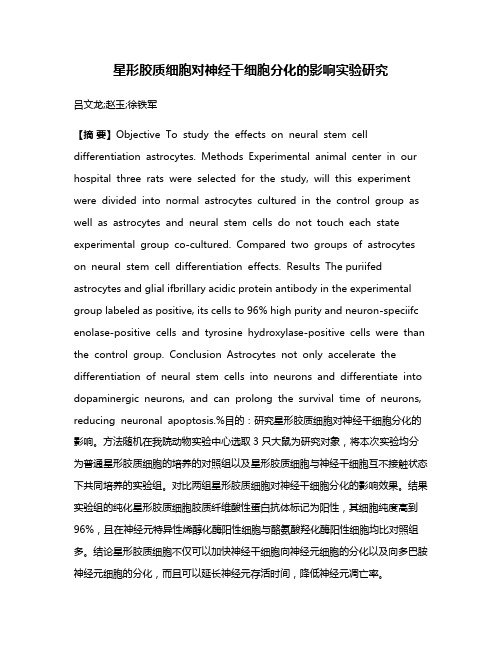 星形胶质细胞对神经干细胞分化的影响实验研究