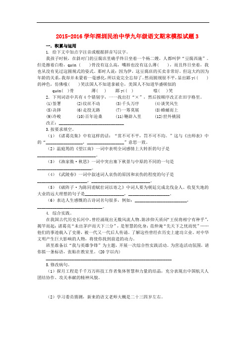 广东省深圳民治中学九年级语文期末模拟试题3 新人教版