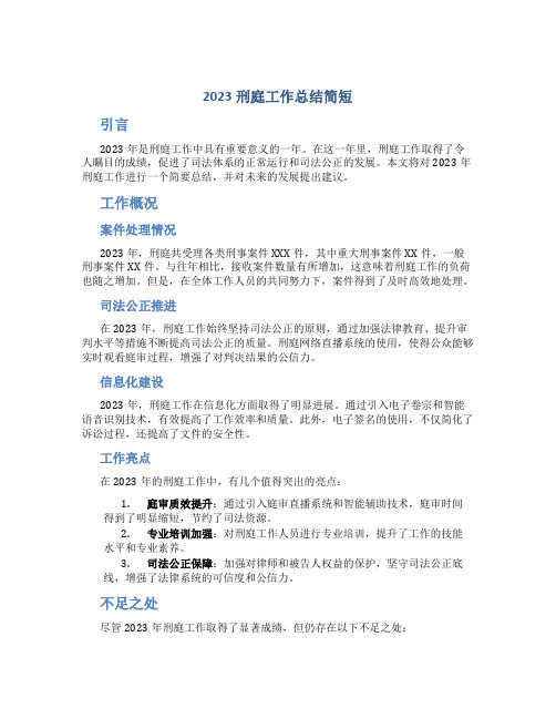 2023刑庭工作总结简短