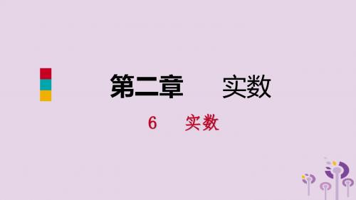 八年级数学上册 第二章 实数 2.6 实数同步练习课件 (