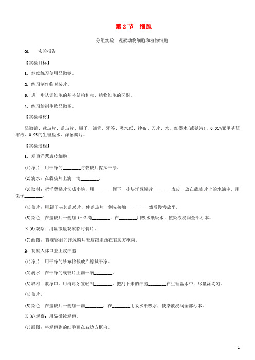 七年级科学上册第2章观察生物分组实验观察动物细胞和植物细胞习题新浙教