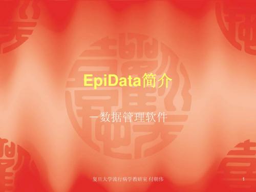 EpiData简介