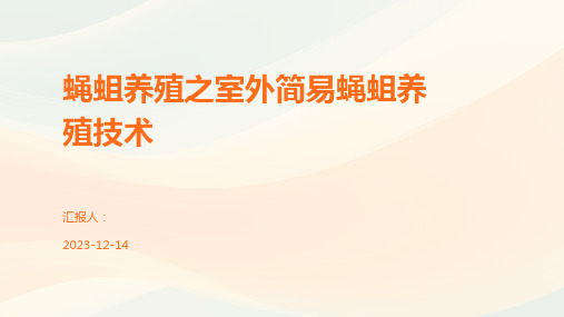 蝇蛆养殖之室外简易蝇蛆养殖技术