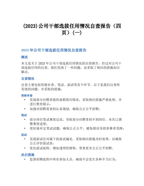 (2023)公司干部选拔任用情况自查报告(四页)(一)