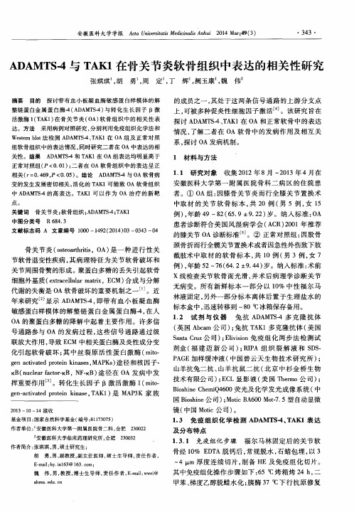 ADAMTS-4与TAK1在骨关节炎软骨组织中表达的相关性研究