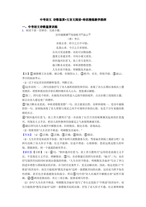 中考语文 诗歌鉴赏+文言文阅读-培优精炼教学提纲