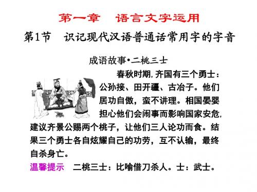 高考复习语言文字运用：识记现代汉语普通话常用字的字音PPT课件