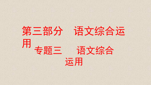 中考语文复习方案第三部分语文综合运用专题三语文综合运用课件