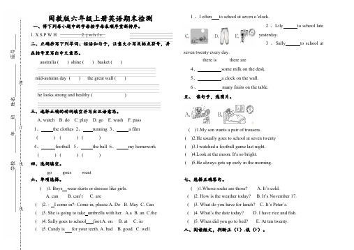 期末 (试题) -2024-2025学年闽教版英语六年级上册(含答案)