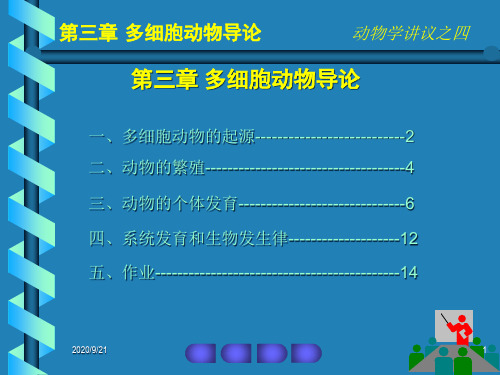 强烈推荐高中生物竞赛动物学第三章多细胞动物导论