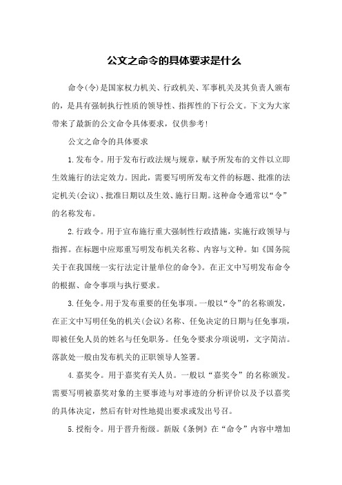 公文之命令的具体要求是什么