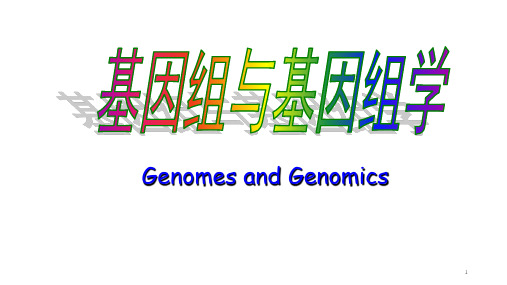 高中生物竞赛:基因组与基因组学课件