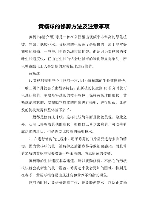 黄杨球的修剪方法及注意事项