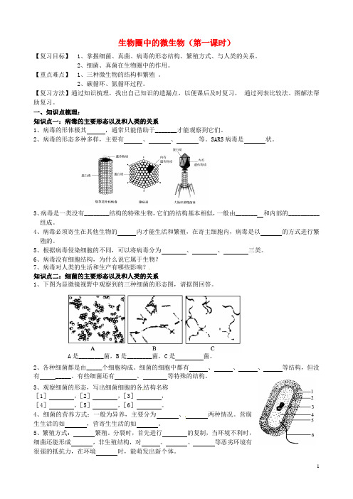 七年级生物上册 3.2 生物圈中的微生物(第一课时)复习教学案(无答案)(新版)济南版